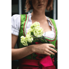 Dirndl Lea (55 cm) inkl. Bluse & Schürze - Eysler